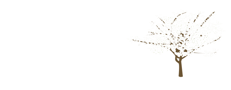 Dogwood Home and Design